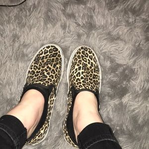 Cheetah print vans